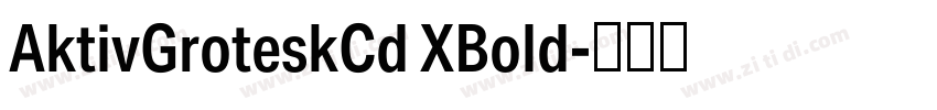 AktivGroteskCd XBold字体转换